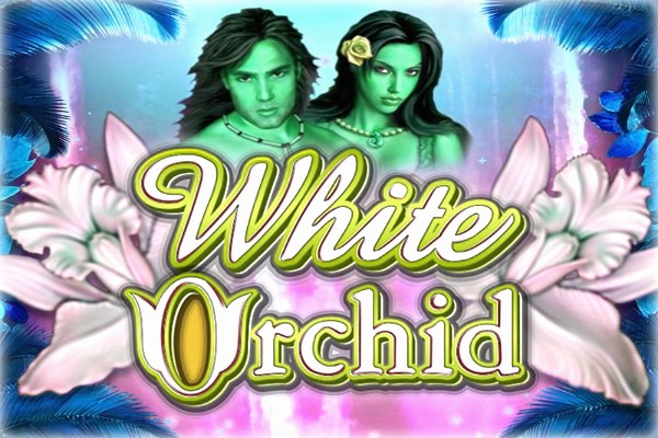 White Orchid Demo Slot